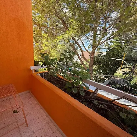 Clementinka - 200 Meters From The Sea