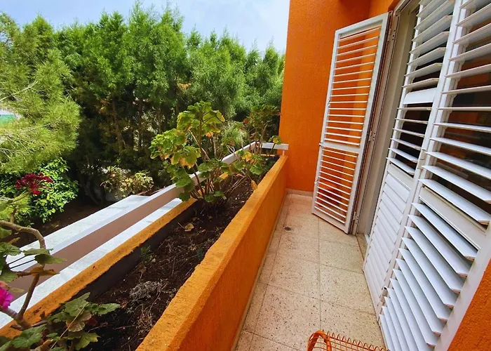 Clementinka - 200 Meters From The Sea *