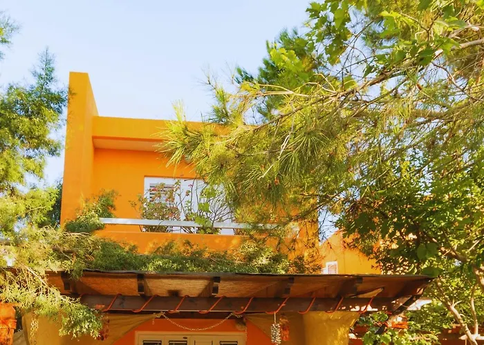Clementinka - 200 Meters From The Sea